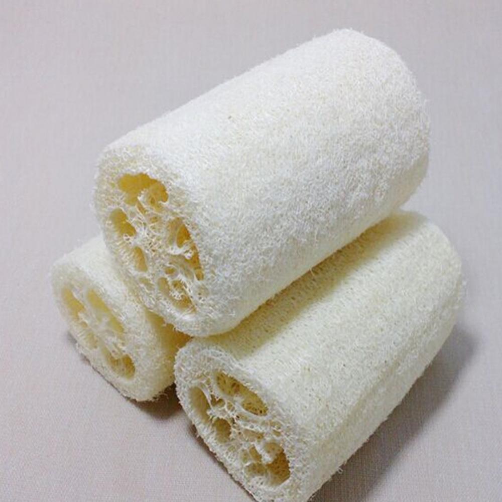 Tự Nhiên Xơ Mướp Bầu Tắm Bọt B - đánh giá và giá Body Loofah Natural