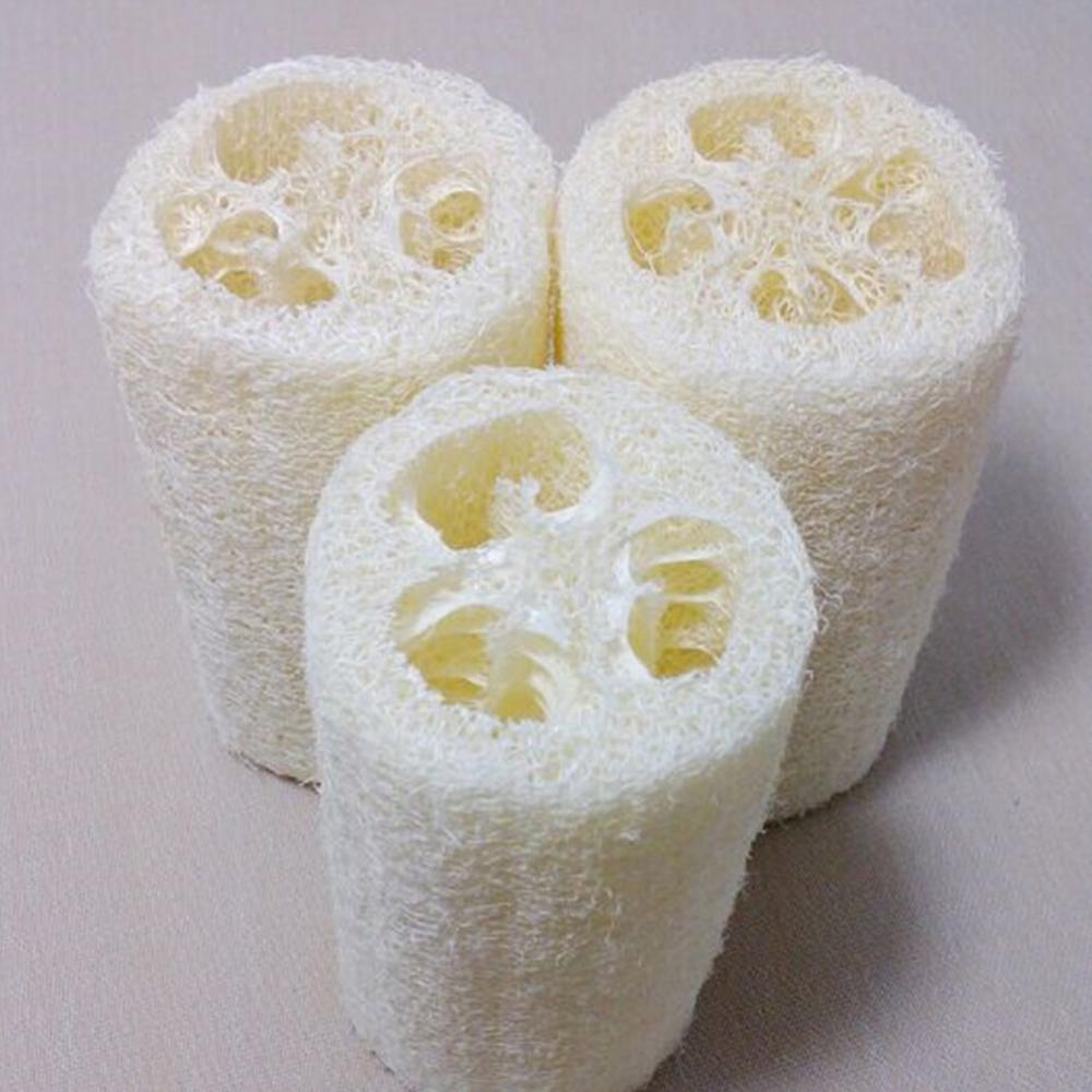 Tự Nhiên Xơ Mướp Bầu Tắm Bọt B - đánh giá và giá Body Loofah Natural