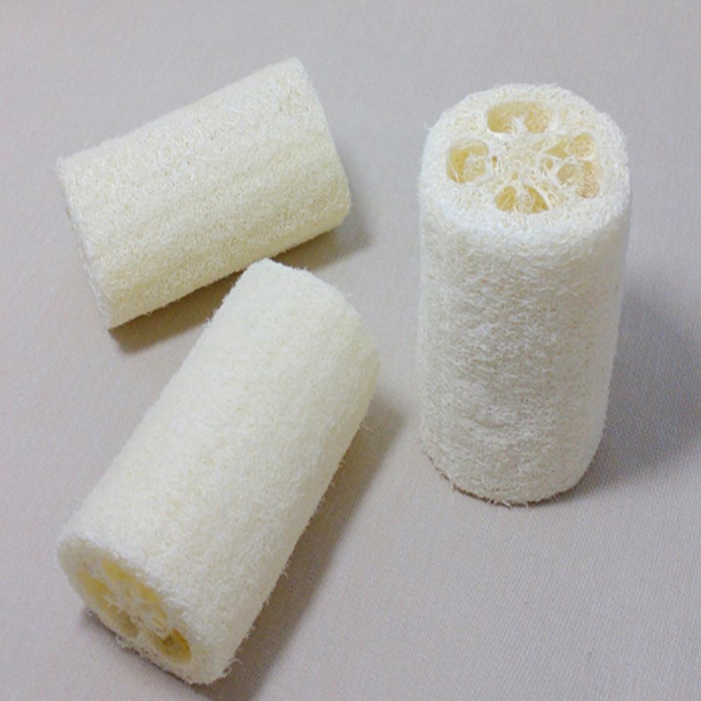 Tự Nhiên Xơ Mướp Bầu Tắm Bọt B - đánh giá và giá Body Loofah Natural
